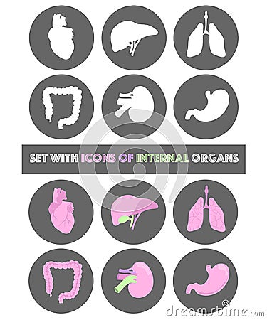 Isolated Icons with internal organs in vector illustration. Vector Illustration